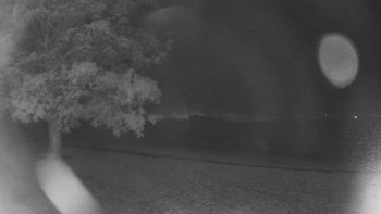 Snímek    27.10.2025 v 23:00
