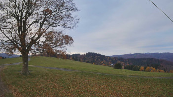 Snímek    1.11.2025 v 07:30