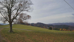 Bludný - Rajnochovice Troják 