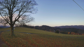 Snímek    4.11.2025 v 08:00