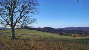 Bludný - Rajnochovice Troják - Bludný - Rajnochovice Troják  - 4.11.2025 v 08:30