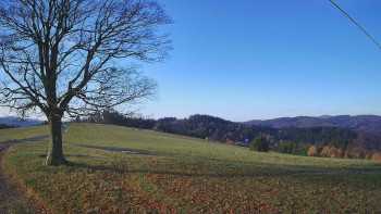 Snímek    4.11.2025 v 08:30