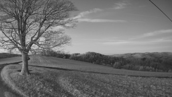 Snímek 5.11.2025 v 06:00