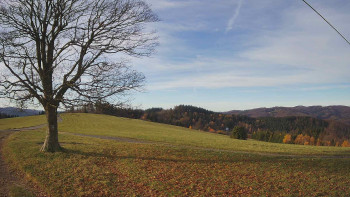 Snímek 5.11.2025 v 08:30