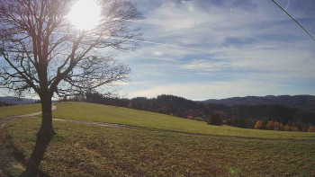 Snímek 5.11.2025 v 13:30