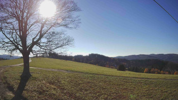 Snímek 6.11.2025 v 13:30