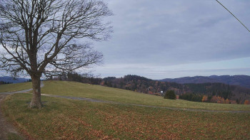 Snímek 8.11.2025 v 06:30