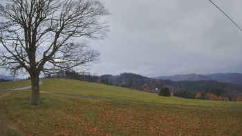 Snímek    8.11.2025 v 15:30