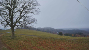 Snímek    9.11.2025 v 07:00