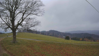 Snímek 9.11.2025 v 10:30