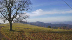 Bludný - Rajnochovice Troják