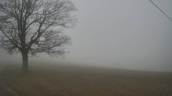 Snímek    14.11.2025 v 06:30