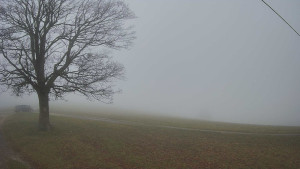 Bludný - Rajnochovice Troják - Bludný - Rajnochovice Troják - 14.11.2025 v 10:00 Bludný - Rajnochovice Troják - Bludný - Rajnochovice Troják - 14.11.2025 v 10:00