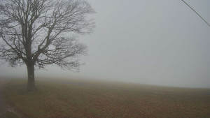 Bludný - Rajnochovice Troják - Bludný - Rajnochovice Troják - 15.11.2025 v 07:00 Bludný - Rajnochovice Troják - Bludný - Rajnochovice Troják - 15.11.2025 v 07:00