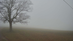 Bludný - Rajnochovice Troják - Bludný - Rajnochovice Troják - 15.11.2025 v 07:30 Bludný - Rajnochovice Troják - Bludný - Rajnochovice Troják - 15.11.2025 v 07:30