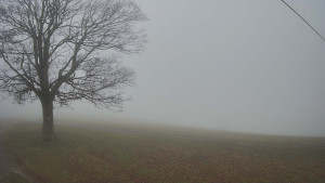 Bludný - Rajnochovice Troják - Bludný - Rajnochovice Troják - 15.11.2025 v 08:00 Bludný - Rajnochovice Troják - Bludný - Rajnochovice Troják - 15.11.2025 v 08:00