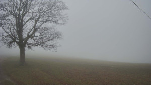 Bludný - Rajnochovice Troják - Bludný - Rajnochovice Troják - 15.11.2025 v 08:30 Bludný - Rajnochovice Troják - Bludný - Rajnochovice Troják - 15.11.2025 v 08:30