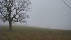 Bludný - Rajnochovice Troják - Bludný - Rajnochovice Troják - 15.11.2025 v 09:00 Bludný - Rajnochovice Troják - Bludný - Rajnochovice Troják - 15.11.2025 v 09:00