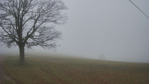 Bludný - Rajnochovice Troják - Bludný - Rajnochovice Troják - 15.11.2025 v 09:30 Bludný - Rajnochovice Troják - Bludný - Rajnochovice Troják - 15.11.2025 v 09:30