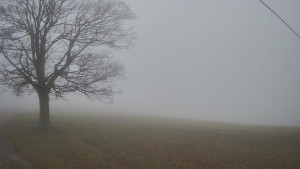 Bludný - Rajnochovice Troják - Bludný - Rajnochovice Troják - 15.11.2025 v 11:00 Bludný - Rajnochovice Troják - Bludný - Rajnochovice Troják - 15.11.2025 v 11:00