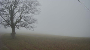 Bludný - Rajnochovice Troják - Bludný - Rajnochovice Troják - 15.11.2025 v 12:30 Bludný - Rajnochovice Troják - Bludný - Rajnochovice Troják - 15.11.2025 v 12:30