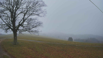 Snímek 15.11.2025 v 16:00