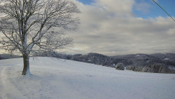 Bludný - Rajnochovice Troják