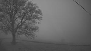 Bludný - Rajnochovice Troják - Bludný - Rajnochovice Troják - 14.12.2025 v 07:00 Bludný - Rajnochovice Troják - Bludný - Rajnochovice Troják - 14.12.2025 v 07:00