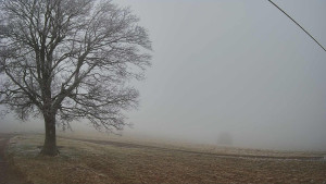 Bludný - Rajnochovice Troják - Bludný - Rajnochovice Troják - 14.12.2025 v 07:30 Bludný - Rajnochovice Troják - Bludný - Rajnochovice Troják - 14.12.2025 v 07:30