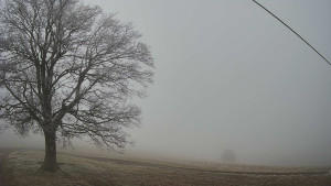 Bludný - Rajnochovice Troják - Bludný - Rajnochovice Troják - 14.12.2025 v 09:00 Bludný - Rajnochovice Troják - Bludný - Rajnochovice Troják - 14.12.2025 v 09:00