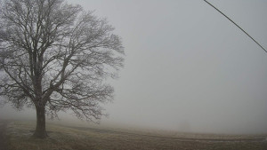 Bludný - Rajnochovice Troják - Bludný - Rajnochovice Troják - 14.12.2025 v 09:30 Bludný - Rajnochovice Troják - Bludný - Rajnochovice Troják - 14.12.2025 v 09:30