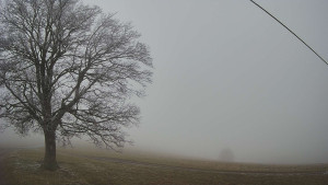 Bludný - Rajnochovice Troják - Bludný - Rajnochovice Troják - 14.12.2025 v 11:00 Bludný - Rajnochovice Troják - Bludný - Rajnochovice Troják - 14.12.2025 v 11:00