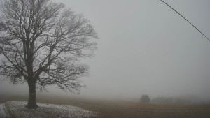 Bludný - Rajnochovice Troják - Bludný - Rajnochovice Troják - 14.12.2025 v 12:00 Bludný - Rajnochovice Troják - Bludný - Rajnochovice Troják - 14.12.2025 v 12:00