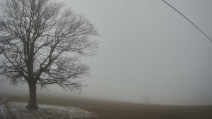 Bludný - Rajnochovice Troják - Bludný - Rajnochovice Troják - 14.12.2025 v 13:30 Bludný - Rajnochovice Troják - Bludný - Rajnochovice Troják - 14.12.2025 v 13:30