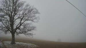 Bludný - Rajnochovice Troják - Bludný - Rajnochovice Troják - 14.12.2025 v 14:30 Bludný - Rajnochovice Troják - Bludný - Rajnochovice Troják - 14.12.2025 v 14:30