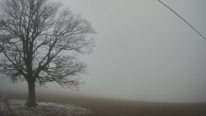 Bludný - Rajnochovice Troják - Bludný - Rajnochovice Troják - 14.12.2025 v 15:30 Bludný - Rajnochovice Troják - Bludný - Rajnochovice Troják - 14.12.2025 v 15:30