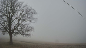 Bludný - Rajnochovice Troják - Bludný - Rajnochovice Troják  - 22.12.2025 v 07:30