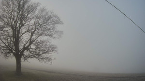 Bludný - Rajnochovice Troják - Bludný - Rajnochovice Troják  - 22.12.2025 v 09:00