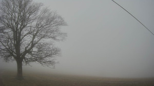 Bludný - Rajnochovice Troják - Bludný - Rajnochovice Troják  - 22.12.2025 v 10:30