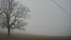 Bludný - Rajnochovice Troják - Bludný - Rajnochovice Troják  - 22.12.2025 v 12:30