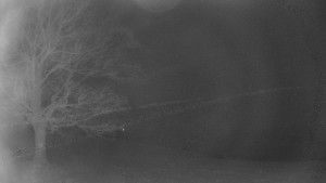 Bludný - Rajnochovice Troják - Bludný - Rajnochovice Troják  - 1.1.2026 v 05:30