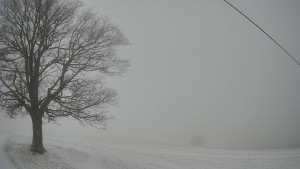 Bludný - Rajnochovice Troják - Bludný - Rajnochovice Troják  - 1.1.2026 v 09:00