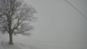 Bludný - Rajnochovice Troják - Bludný - Rajnochovice Troják  - 1.1.2026 v 09:30