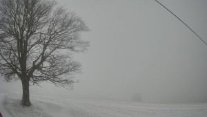 Bludný - Rajnochovice Troják - Bludný - Rajnochovice Troják  - 1.1.2026 v 10:30