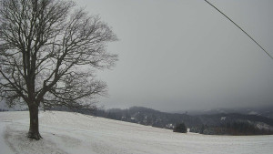 Bludný - Rajnochovice Troják - Bludný - Rajnochovice Troják  - 1.1.2026 v 11:30