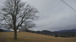 Bludný - Rajnochovice Troják 