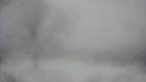 Bludný - Rajnochovice Troják - Bludný - Rajnochovice Troják  - 15.2.2026 v 11:30