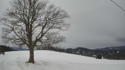 Bludný - Rajnochovice Troják 