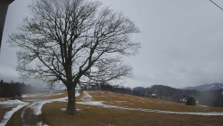 Bludný - Rajnochovice Troják