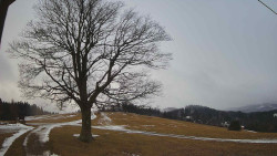 Bludný - Rajnochovice Troják 